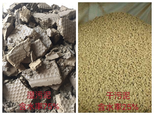德爾科述為什么要對污泥進行烘干處理呢?(圖1)